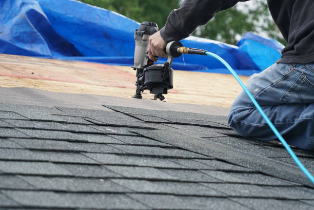 Best Roof Leak Repair  in Winnemucca, NV